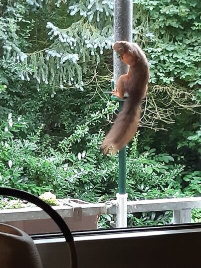 675594EF-8070-4949-82CD-CB221E842190