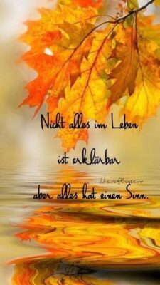 FB_IMG_1758778822109