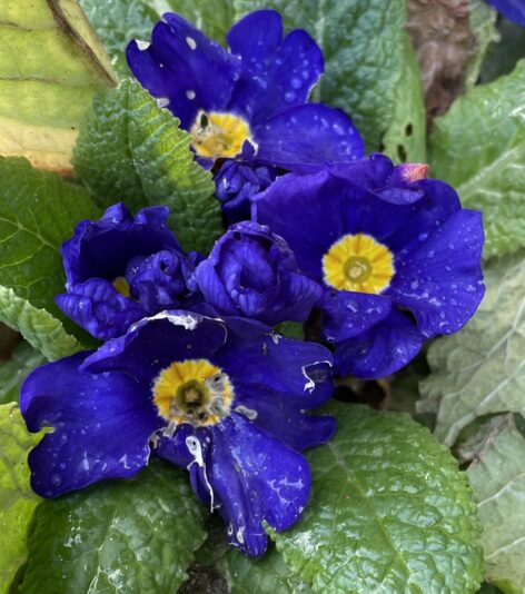 E160AEEA-849A-49A8-BFFD-3E8551373C3B