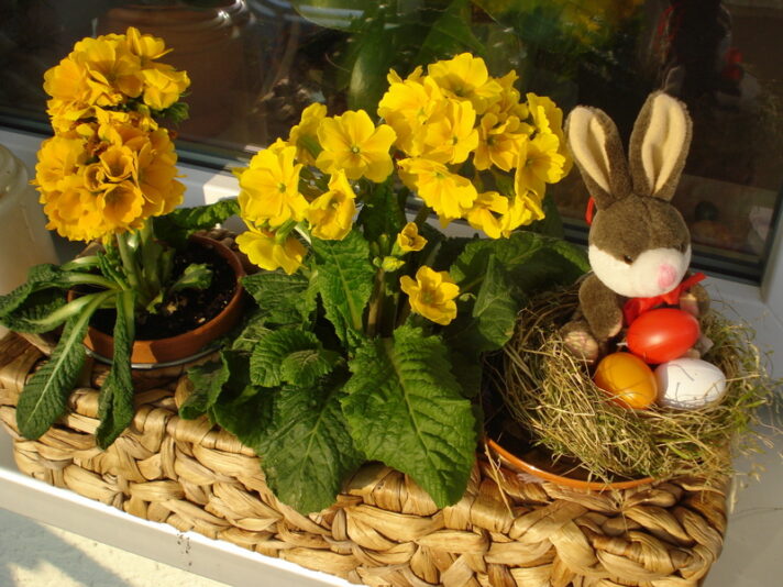 Ostern 2012.