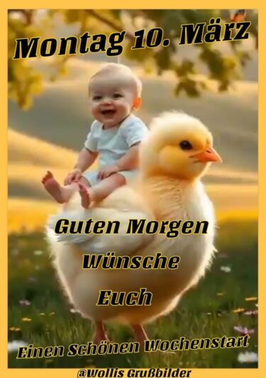 IMG_7218.JPG 10. März 25