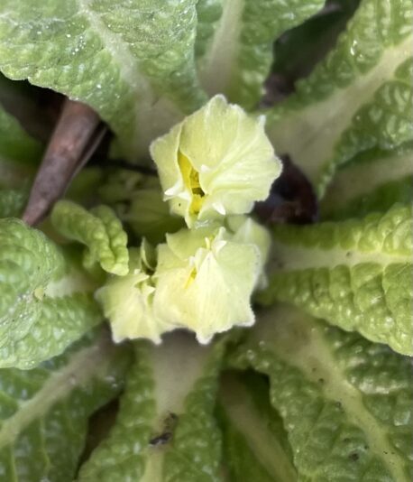 F2BF53C2-86EE-4B58-892C-60FBBAABE495