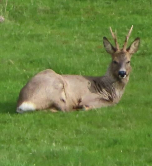 20240415172058_IMG_3790