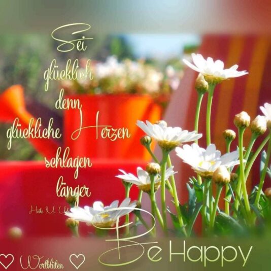 b085afdaa17b7499ee1fc48f5b32075c