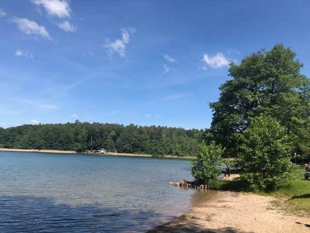 31. Mai 20.jpeg Stechlinsee