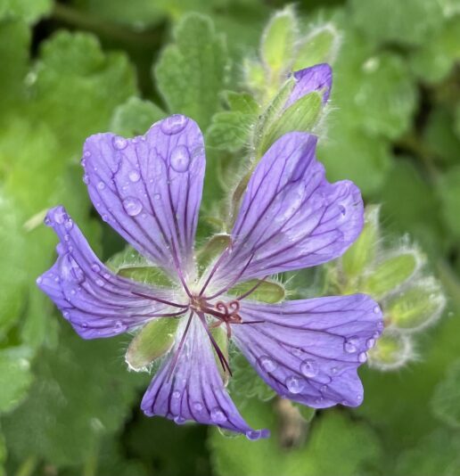 E8175DEA-94A3-414A-B661-8F6368E3B61A