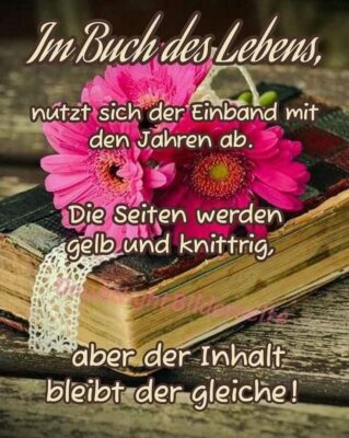 FB_IMG_1758699043375