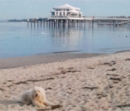 Screenshot_20251019_221138_Gallery