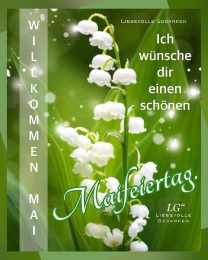 440968230_2139302133094804_1294795426970244392_n (1)