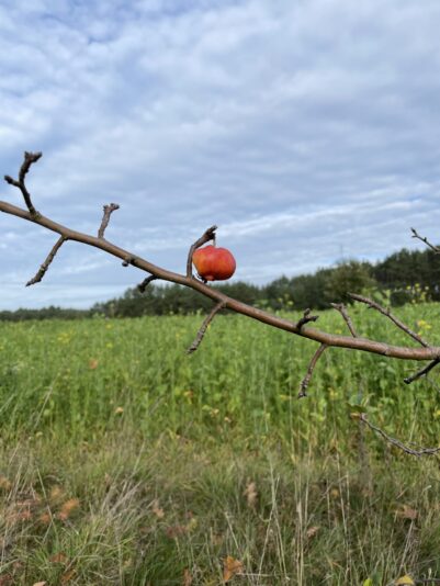 3001A8E3-EB1A-4183-B049-A53F04EC31E1