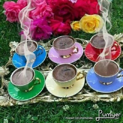 118146014_755878118524841_2941866162682281949_n