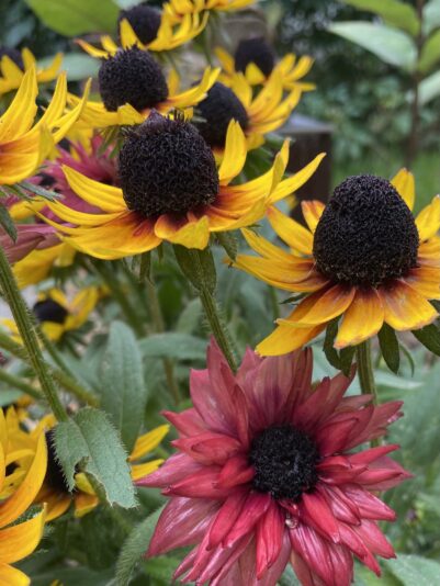 3710CDFB-8EA7-403A-8573-45B176A56F9B