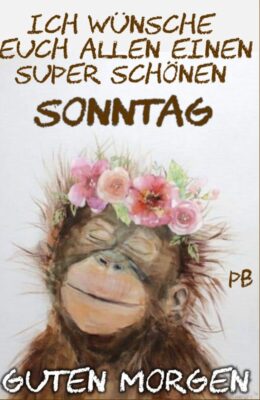 Gallery_1760255229930