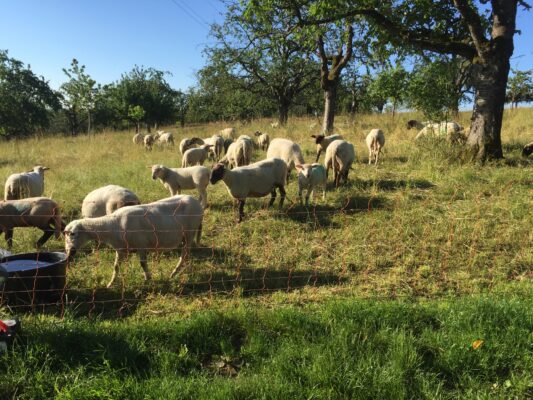 741B1047-4056-439A-9D35-F156F3B1A612