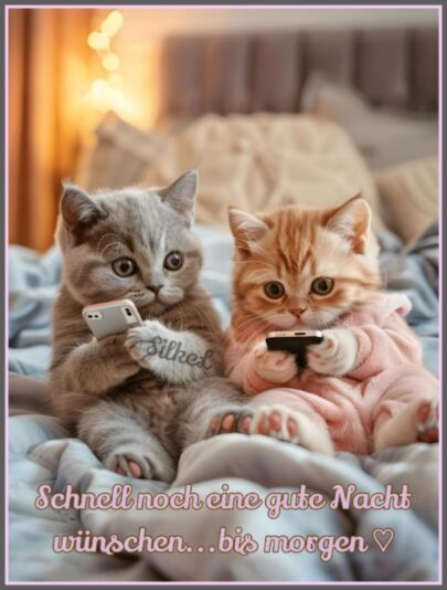 IMG_4990.JPG gute Nacht