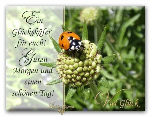 117681189_910754656087431_6791285149971470037_o