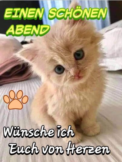 234184808_1459552974403060_3289774312515404647_n (1)