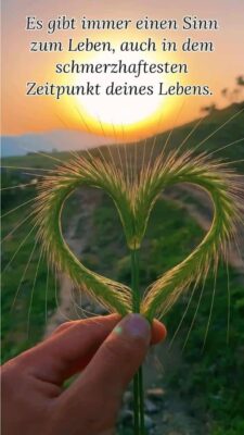 FB_IMG_1761555734533