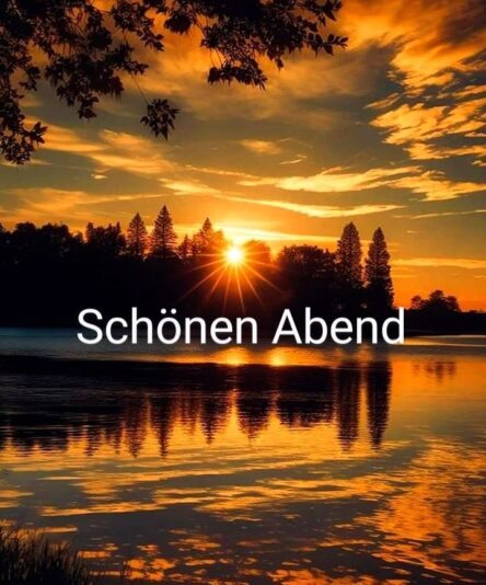 c1bd9b75e27567be2759a8925b754442