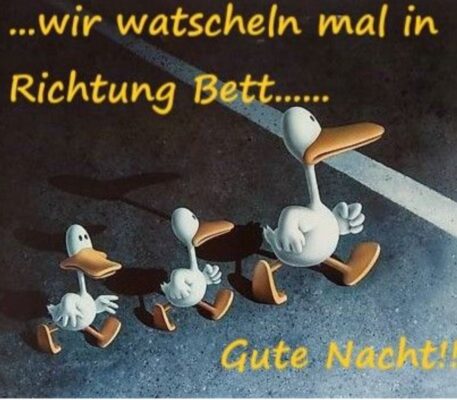 Gallery_1755550380414