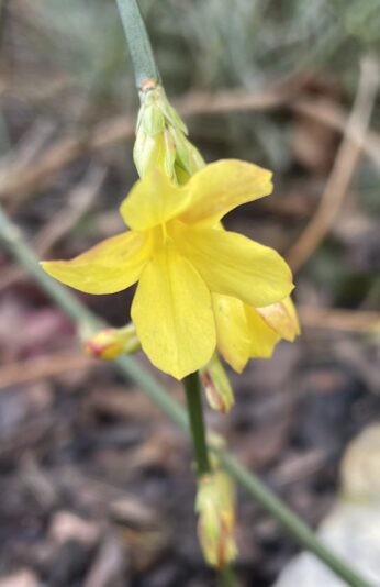 4D301025-F9F9-44C1-B0EA-EEE20B31FF71