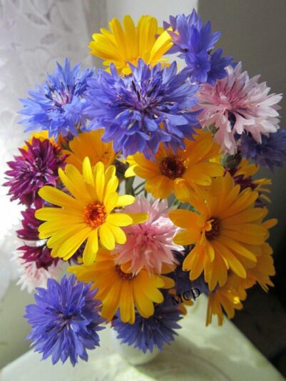 277001956_3150440608527068_7285231289944412966_n