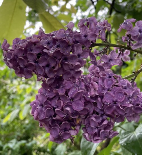 BE699C90-C179-4067-A6A6-5F3278942C4D