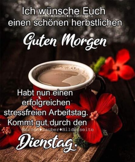 316414736_674491777419024_1387702337143169073_n (2)