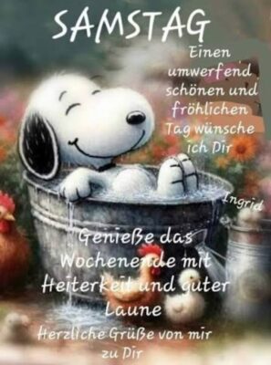 Gallery_1758348256629