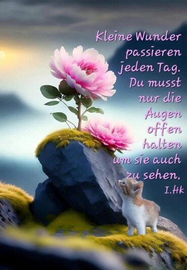 bd9cde9a997dfa11629bad82edcf8340