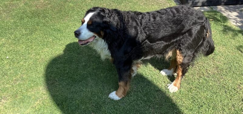 745467AE-2F24-41F9-80DE-C0DD150FFDF6