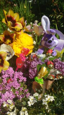 IMG_20190421_121154602