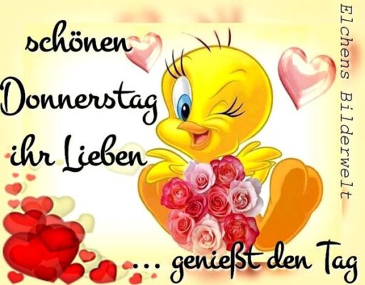 Bilder-„Schonen-Donnerstag“-4