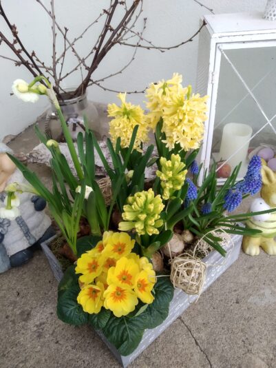 4065dc09-cb65-4fe8-a527-f428f913898a