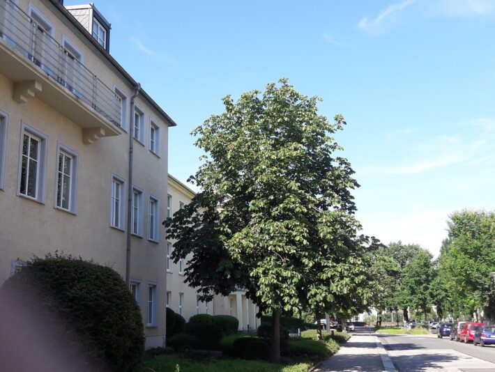 20210730_163853 - Kopie