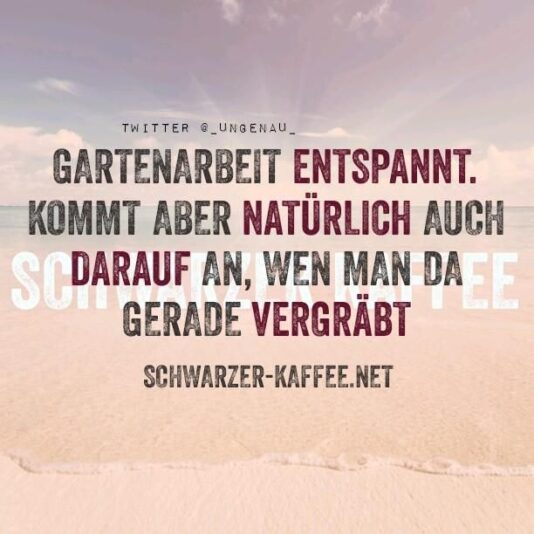 607c0105baab503cce75e79b6c5143d9--humor-fall