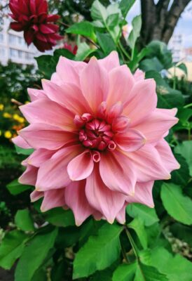 pexels-guzel-s-3331480-28831078