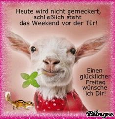 8f3f6927aa39775f7bccaea89f6990db