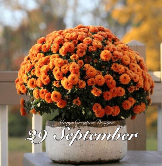 239670778_3014093535495110_428967901421056472_n