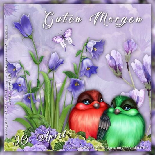 440414312_1159141788783795_2977123322584332609_n (2)