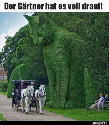 155361014_1174540633000241_2320074253093628337_n (1)