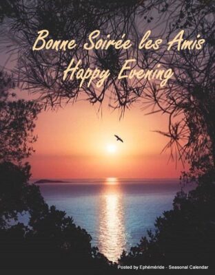 schildkroete-tag-des-meeres