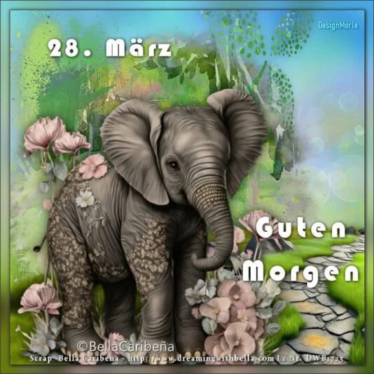 IMG_7452.JPG 28.März 2025