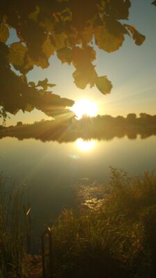 IMG_20200731_063322701