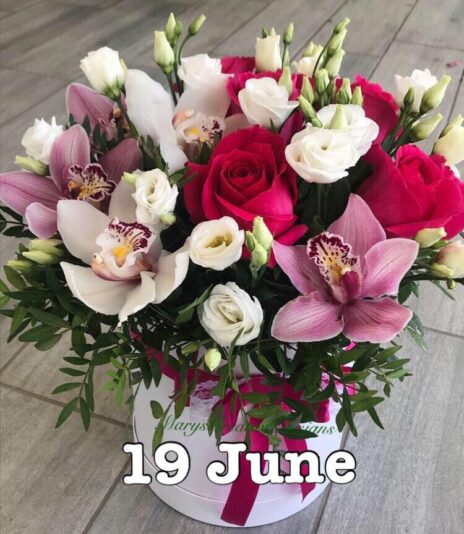 288817327_3225690501002078_5569508929898944213_n (2)