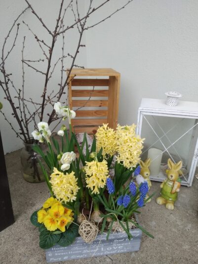 42a0acda-37eb-4dd8-89d5-c0957713dcc7