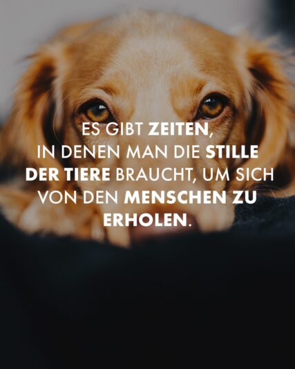 spruch-menschen-erholen-tiere