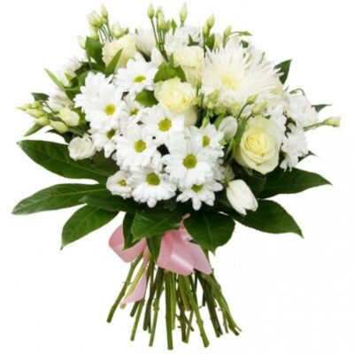 293777773_528858858988698_2740362167371459380_n