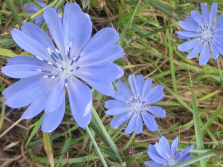 29-31.7.2021 Bislich (73)