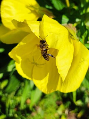 IMG_20250620_112522~2